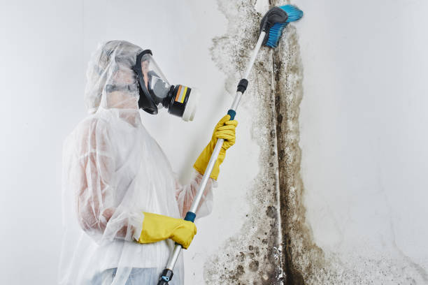 Water Damage Restoration in Oakley, KS