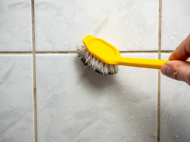 Best Mold Remediation  in Oakley, KS
