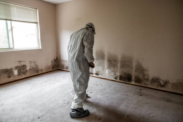 Best Mold Removal Specialists  in Oakley, KS