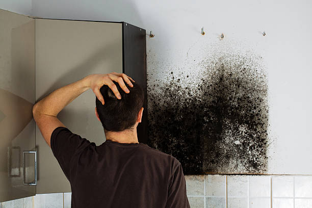 Best Commercial Mold Removal  in Oakley, KS